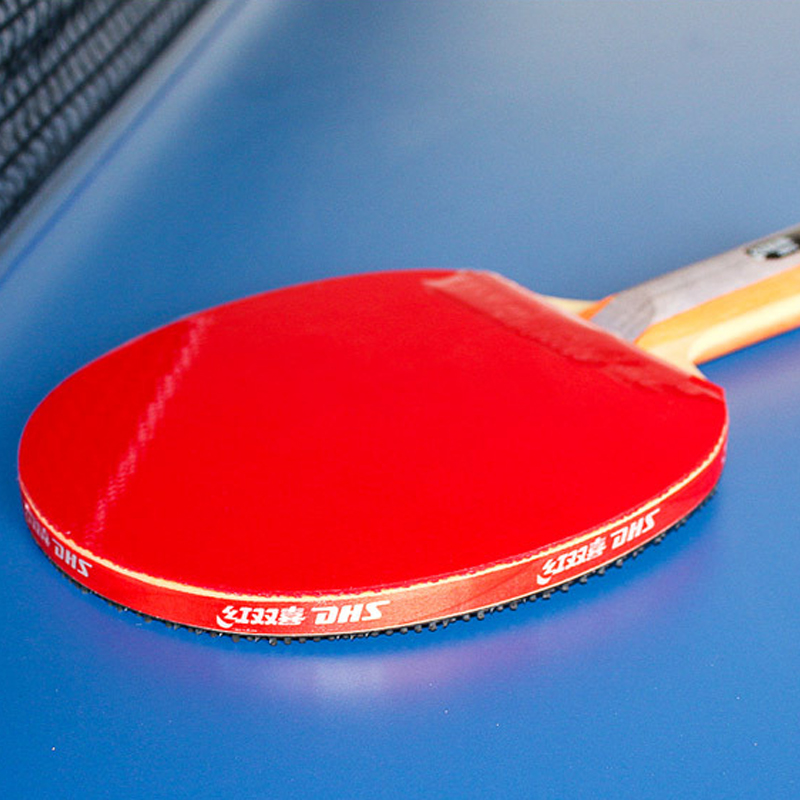 DHS Self-adhesive Table Tennis - Table Tennis Net Set review and price