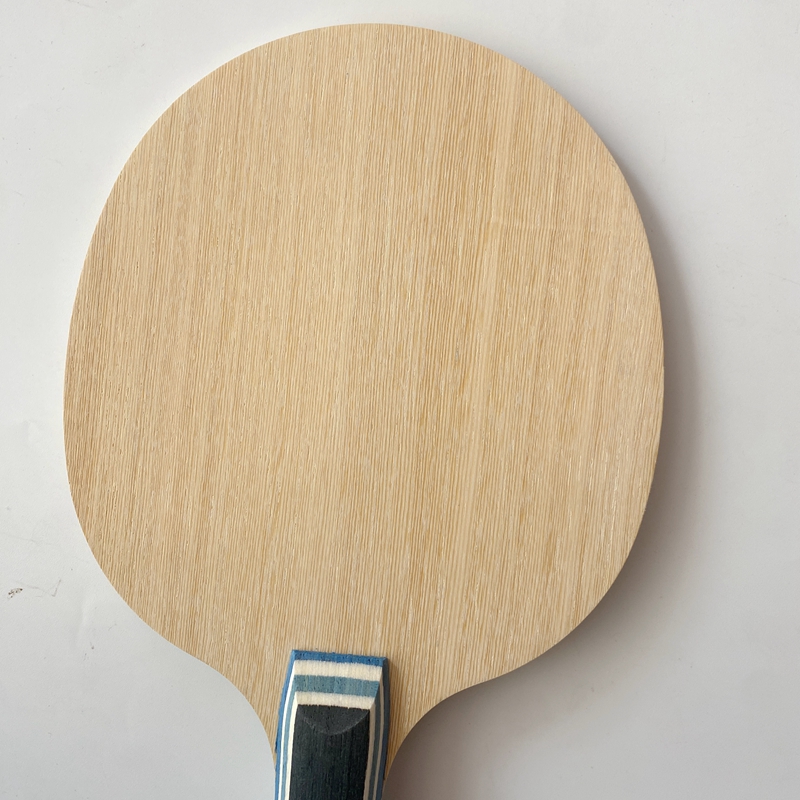 Lemuria VIS Carbon Fiber Table - Xu Xin Table Tennis review and price
