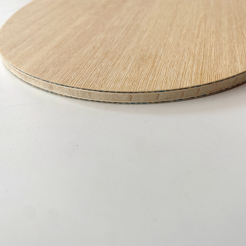 Lemuria VIS Carbon Fiber Table - Xu Xin Table Tennis review and price