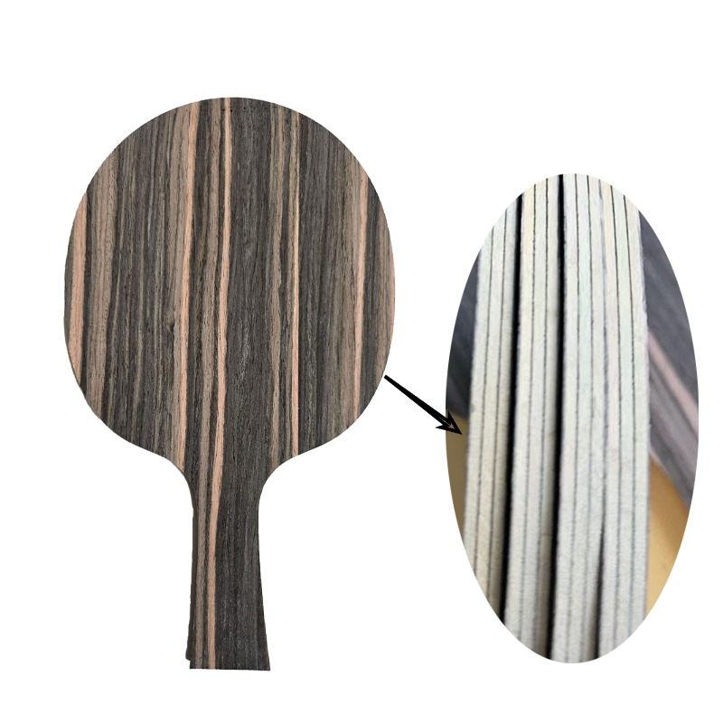 DIY FL/CS Table Tennis Racket  - Table Tennis Basic review and price