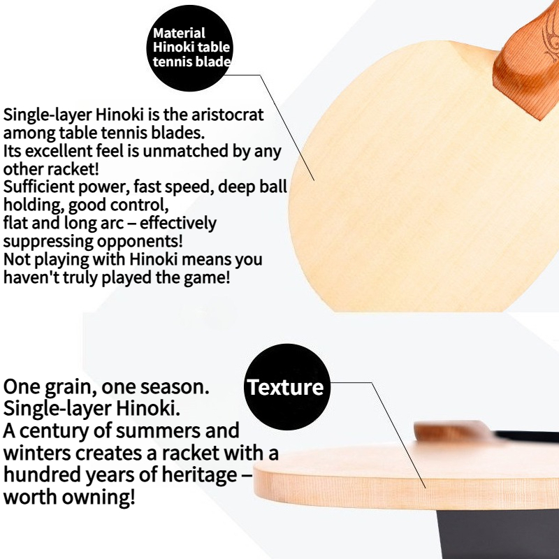 Shenlongmu 1-Ply Hinoki Table  - Table Tennis Single review and price